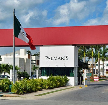 Palmaris